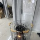 안강매점