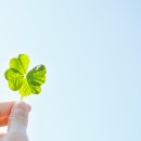 메이플요양병원 이미지