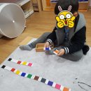 스콜라몬테소리 이미지