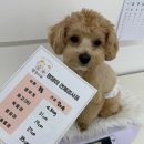 멍린이집 이미지