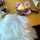 라르고빌리조트(테라스하우스,하버하우스) | [강화 대형카페] 이색 음료·디저트가 있는 오션뷰 리조트 카페라르고빌