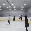 (주)그레이스원 | 취미피겨 그거 어떻게 시작하는 건데? 피겨 팀 선택 후기