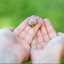 중동한의원 이미지