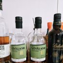 10,11,12 | 글렌알라키10년 cs 배치11 후기 + 배치 12 비교시음