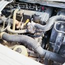 월드카프라자 이미지