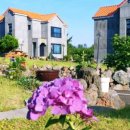 송당초등학교 병설유치원 이미지