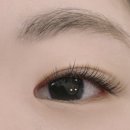 비올리즈광주점