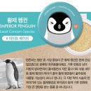 내츄럴세이브