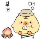 동학사힐링캠핑장 이미지