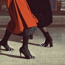 레오그루밍 | 고양이 따라다니느라 정병이 안 멈추는데 어떡해-