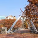 황새울공원 내 이미지