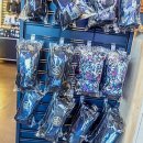 에스앤에스 | 겨울 낭만 가득! 홍천 비발디파크 스키 렌탈 에스앤에스 완벽 정복 후기요!