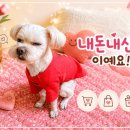 다비치히어링전주평화 | 다비치안경 전주평화점