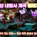 내원사계곡(내원사) 이미지