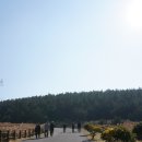 송악산 부남코지 화장실 | 국내여행지 추천 제주 송악산 둘레길 제주올레길 10코스 따라 걷는 길