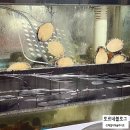 솥대장