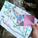 Cat garden 이미지