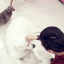 개네엄마 이미지