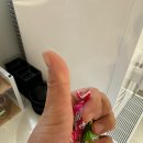 유유샤브 군자역점
