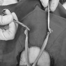 용인도담동물병원 이미지