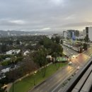 비버리힐즈 스위트 이미지