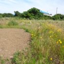 동일1리 복지회관 이미지