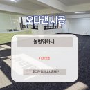 에버휘트니스 | 애견카페 바닥 시공 고민? 슬개골 탈구 예방하는 에버롤 4T 설치 후기