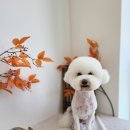 리쌀롱 이미지