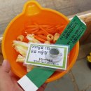 동천자연식물원 티스토리
