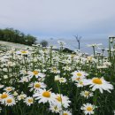 음악과 함께하는 책놀이 (A) 이미지