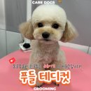 MY DOG GROOMING 이미지