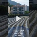 비비스포츠댄스