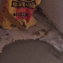 부산진구-2 이미지