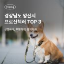 산뜻하개 이미지