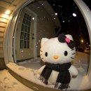 오케이카케어 | ❤️ GV80 썬팅 후기｜임판 운행 후 선택한 마디코 ABYS NR, 대구 서구 오케이통상을 선택한 이유