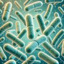 목동세계로약국 이미지