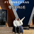 평창스위스마을 | 강원도 평창포레스트 309호 바베큐 주차 대관령 감성 숙소 내돈내산