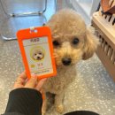 멍플레이스 이미지