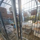 동춘농장 | 포도따기체험 진짜 1등! 닭알찾기+동물교감+최고당도포도+최고급보자기포장까지 대부도체험 끝판왕 후기