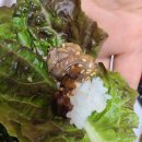 낙안읍성선비촌 | 순천 낙안읍성 꼬막정식 맛집 [낙안읍성 선비촌] 방문후기 ft. 꼬막정식