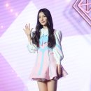 엘리스 카카오 검색결과