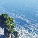 하늘땅공인중개사사무소 이미지