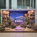 이정수 | 20241023 뮤지컬 부치하난 후기 (정택운, 지수연, 양승리, 이정수, 양성령, 장재웅, 고래양)