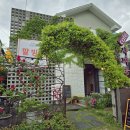 사파동266 이미지