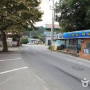 신흥장어 이미지