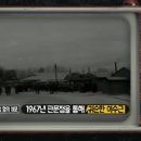일성카