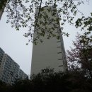 죽전로 193번길 이미지