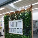 실내수직정원 - 대구 무학숲도서관 indoor greenwall at library in Daegu 이미지