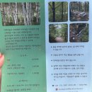 연못1길 15, (문화동) | 양평 가볼만한곳 서울 근교 나들이 &#39;서후리숲&#39; 여름 방문 후기