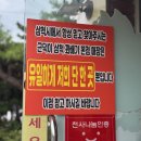 동해-단속-25 | 지나갈 일 있으면 여기 꼭 들리세오. 근덕이 삼척 꽈배기 본점 프리미엄 콤보세트 포장 후기 Sexy food..!